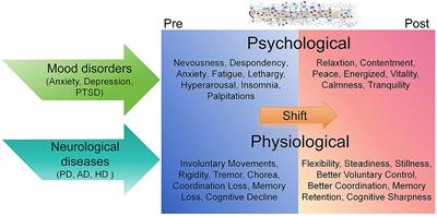 Treatments and regulatory mechanisms of acoustic stimuli on mood disorders and neurological diseases